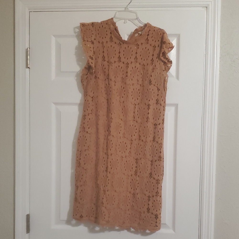Elegant Tan Lace Dress